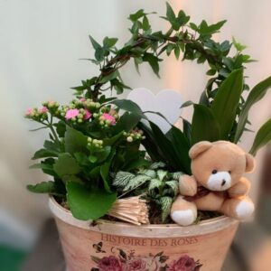 Cesta con planta verde con flores pequeñas y oso de peluche